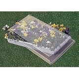 Seed Tray: Mini Greenhouse Style by 