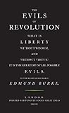 The evils of revolution