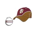 Florida State Avalanche