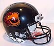 Indiana Firebirds Arena Deluxe Replica Helmet