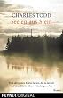Seelen aus Stein.