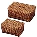 Baskets Boxes w/ Covers in Woven Straw Set of 2 by Whitney Design