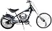 Schwinn 20" Stingray 250-watt Electric Bike S2938 Cover image
