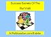Books : Sucess Secrets Of The Illuminati: Meditations to identify and solve problems in life and business