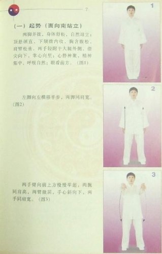 呉式太極拳