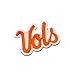 Tennessee Volunteers Patch University Vols Logo Premium Embroidered Iron on