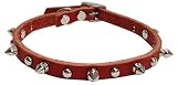 Latigo Spike & Stud Collars - 3/8 in. x 10 in. Black
