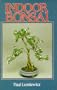 Indoor Bonsai