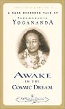 Review   / Awake in the Cosmic Dream [CASSETTE]