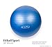 Ball Dynamics Fitball Stability Exercise Ball 65cm Blue