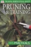 Pruning & training