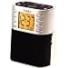 Timex Auto Set Clock Radio - T307S