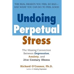 Undoing Perpetual Stress: The Missing Connection Between Depression, Anxiety and 21st Century Illness