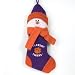 Clemson Tigers 22