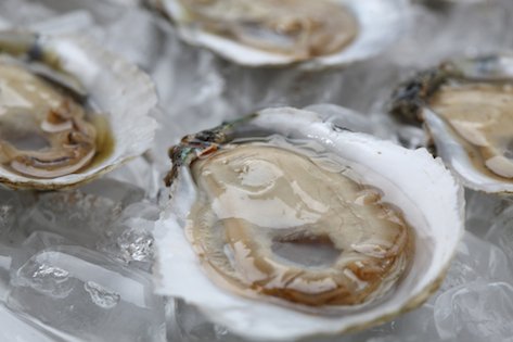 oysters sold direct by the producer at Farmers Market Online