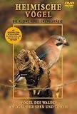 Eigenschaften Deutsche Austrophon GmbH  / Heimische Vögel - Wald, Seen, Teiche