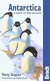 Antarctica Wildlife 5th (Bradt Guides)