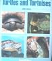 The World of Turtles and Tortoises