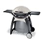 Weber 426001 Q 300 Propane Gas Barbecue