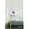 My Vine Novels Reviewed (Mostly YA)