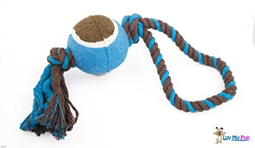 Nylon Braided Dog Rope Throw Toy with Tennis Ball and Woven Loop / Tug Handle: Great for Aggressive Chewers and Medium to Large Dogs