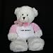 Plush White Teddy Bear (Dena) toy with I am sorry