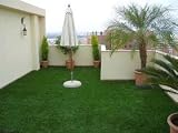 41A5gxT4ULL. SL160  Greentouch   Gazon synthetique rouleau de 1ML 20m2 Prairie eco