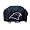 Carolina Panthers
