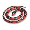 Rubber Honduran Milk Snake