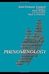 Phenomenology