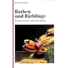 Barben und B�rblinge. Die idealen Schwarm- und Gesellschaftsfische