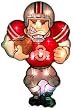 Ohio State Buckeyes 20" Double-Sided Window Mounted Lighted Player Figure - NCAA College Athletics