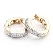 0.25 Carat 14KYG Diamond Hoop Earrings