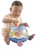 Ocean Wonders Fishbowl