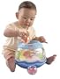 Ocean Wonders Fishbowl