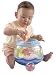 Ocean Wonders Fishbowl