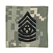 ACU Digital Camouflage Command Sergeant Major Insignia