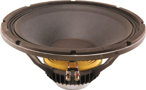 neodymium speakers 15 inch