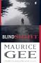 Blindsight