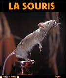 La Souris