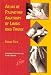 Book Atlas of Palpatory Anatomy of Limbs and Trunk (Netter Basic Science)