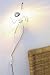 Kitchen & Housewares : Climbing Light