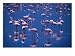 Flamingoes Standing in Water of Lake Nakuru, Lake Nakuru National Park, Kenya Animals Photographic Poster Print by Mason Florence, 24x18