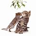 Kitchen & Housewares : Christmas Kiss Rabbit Dalmatian Squirrel & Cat Luxury Christmas Card Pack