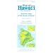 Hawaii Honeymoon Packlist
