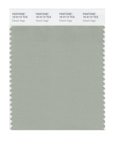 PANTONE SMART 16-0110X Color Swatch Card, Desert Sage