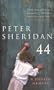 44 - a Dublin Memoir