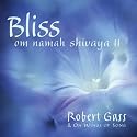 Bliss:  Om Namah Shivaya II