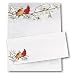 Cardinals Holiday Stationary