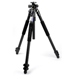 Giottos GTMTL9361B Aluminiumstativ mit dreh- und schwenkbarer Mittels�ule (Gewicht 2,2 kg, 8 kg max. Belastbarkeit, max. Auszugsh�he 170 cm)schwarz